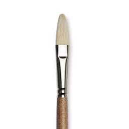 Winsor & Newton Artists' Oil Synthetic Hog Brush - Filbert, Size 8, Long Handle (close-up)