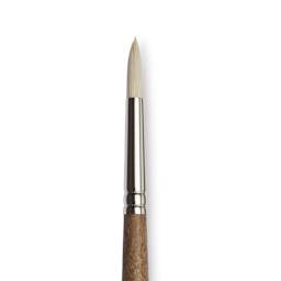 Winsor & Newton Artists' Oil Synthetic Hog Brush - Round, Size 4, Long Handle (close-up)