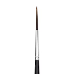 Trekell Spectrum Brush - Script Liner, Long Handle, Size 4, close up