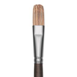 Princeton Pro Series 6000 Brush - Filbert, Long Handle, Size 6, close up
