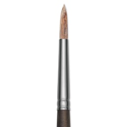 Princeton Pro Series 6000 Brush - Round, Long Handle, Size 2, close up