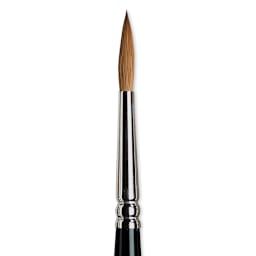 Winsor & Newton Series 7 Kolinsky Sable Brush - Pointed Round, Size 5 close-up