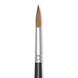 Winsor & Newton Series 7 Kolinsky Sable Brush - Pointed Round, Size 8 close-up