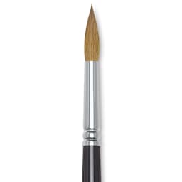 Winsor & Newton Series 7 Kolinsky Sable Brush - Pointed Round, Size 9 close-up
