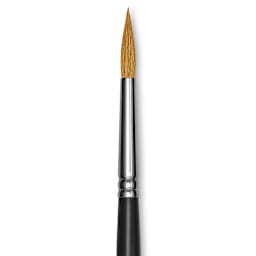 Blick Pointed Scholastic Brush - Round, Short Handle, Size 8 close-up