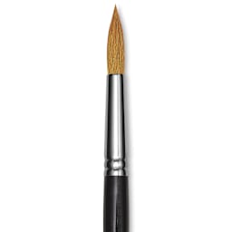 Blick Pointed Scholastic Brush - Round, Short Handle, Size 12 close-up