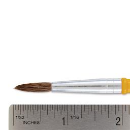 Crayola Camel Hair Watercolor Brush - Round, Size 4 close-up