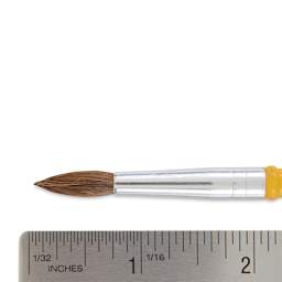 Crayola Camel Hair Watercolor Brush - Round, Size 6 close-up