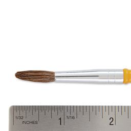 Crayola Camel Hair Watercolor Brush - Round, Size 7 close-up