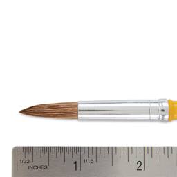 Crayola Camel Hair Watercolor Brush - Round, Size 10 close-up