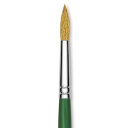 Blick Economy Sable Brush - Round, Size 8 close-up