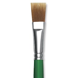Blick Economy Golden Nylon Brush - Bright, Long Handle, Size 16 close up