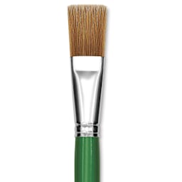 Blick Economy Golden Nylon Brush - Bright, Long Handle, Size 20 close up