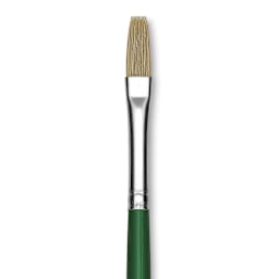 Blick Economy White Bristle Brush - Flat, Size 8 close up