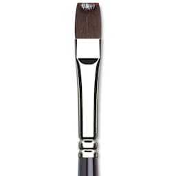 Winsor & Newton Galeria Brush - Bright, Size 12, Long Handle (close-up to show brush head)