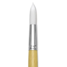 Blick Academic White Synthetic Brush - Round, Size 24, close-up