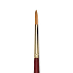 Princeton Synthetic Sable Brush - Round, Long Handle, Size 8 close up