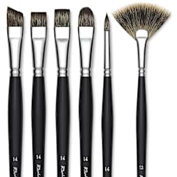 Raphaël Kevrin Plus Brushes - Closeup of tips of Various Brush Styles offered