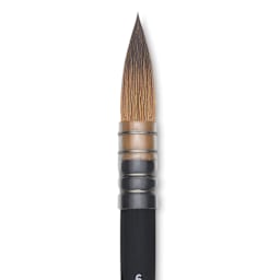 Princeton Aqua Elite Series 4850 Synthetic Brush - Quill, Size 6, Short Handle