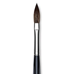 Da Vinci Casaneo Synthetic Squirrel Watercolor Brush - Pointed Oval Wash, Size 6, Short Handle, Synthetic, close up