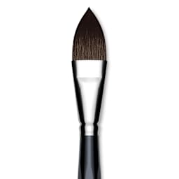 Da Vinci Casaneo Synthetic Squirrel Watercolor Brush - Pointed Oval Wash, Size 24, Short Handle, Synthetic, close up