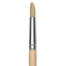 Dynasty Encaustic Brush - Round, Size 5, close-up