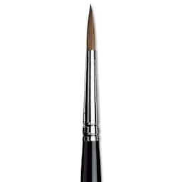 Da Vinci Maestro Kolinsky Sable Brush - Round, Short Handle, Size 5 close up