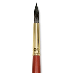 Blick Master Natural Brush - Round, Size 12, close-up