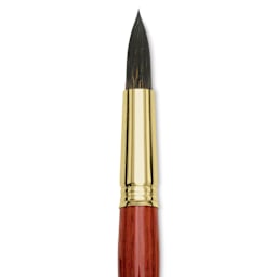 Blick Master Natural Brush - Round, Size 20, close-up