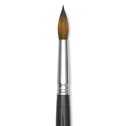 Blick Studio Sable Brush - Round, Short Handle, Size 14 close up
