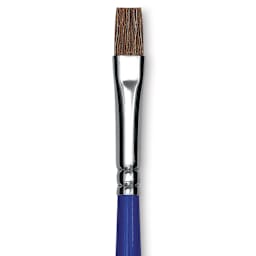 Blick Scholastic Pony Brush - Bright, Short Handle, Size 6 close up
