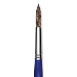 Blick Scholastic Camel Hair Brush - Round, Short Handle, Size 14 close up