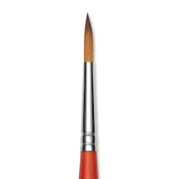 Raphael Golden Kaerell Brush - Pointed Round, Short Handle, Size 5, close-up