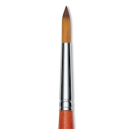 Raphael Golden Kaerell Brush - Pointed Round, Short Handle, Size 8, close-up