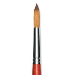 Raphael Golden Kaerell Brush - Pointed Round, Short Handle, Size 12, close-up