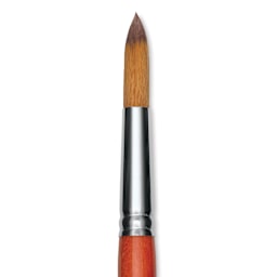 Raphael Golden Kaerell Brush - Pointed Round, Short Handle, Size 14, close-up