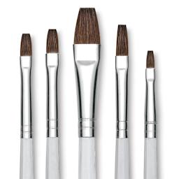 Royal Langnickel Clear Choice Brush Set - Soft Natural Hair, Flat, Set of 60, Short Handle (close-up of brushes)