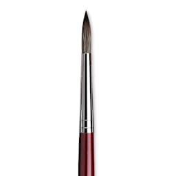 Da Vinci Black Sable Brush - Round, Long Handle, Size 14 close up