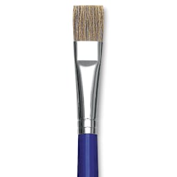 Blick Scholastic Ox Hair Brush - Bright, Long Handle, Size 16 close up