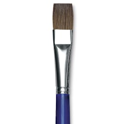 Blick Scholastic Red Sable Brush - Bright, Long Handle, Size 16 close up
