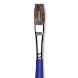 Blick Scholastic Red Sable Brush - Flat, Long Handle, Size 14 close up