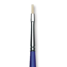 Blick Scholastic White Bristle Brush - Flat, Size 1 close up