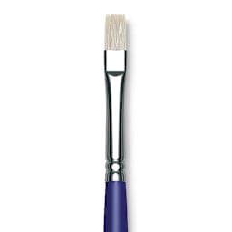 Blick Scholastic White Bristle Brush - Bright, Size 8 close up