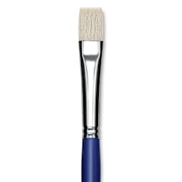 Blick Scholastic White Bristle Brush - Bright, Size 18 close up