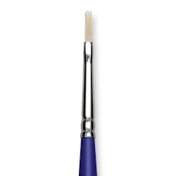 Blick Scholastic White Bristle Brush - Filbert, Size 1 close up