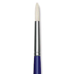 Blick Scholastic White Bristle Brush - Round, Size 10 close up