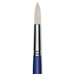 Blick Scholastic White Bristle Brush - Round, Size 16 close up