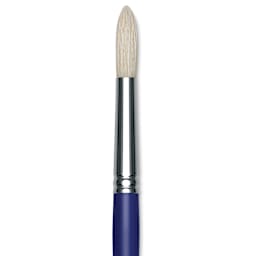 Blick Scholastic White Bristle Brush - Round, Size 18 close up