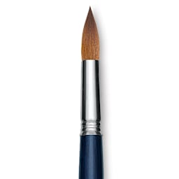 Escoda Optimo Kolinsky Sable Brush - Pointed Round, Long Handle, Size 18 close up