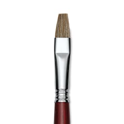 Escoda Bravo Light Ox Hair Brush - Bright, Long Handle, Size 14 close up